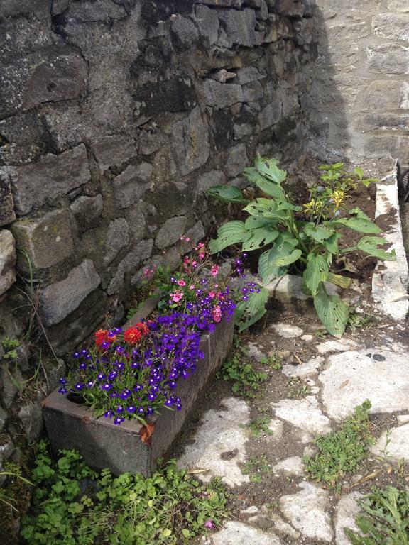 Curlew Barn Bed and Breakfast Leyburn Exterior foto