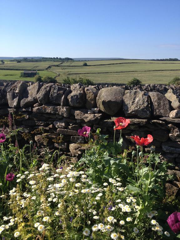 Curlew Barn Bed and Breakfast Leyburn Exterior foto