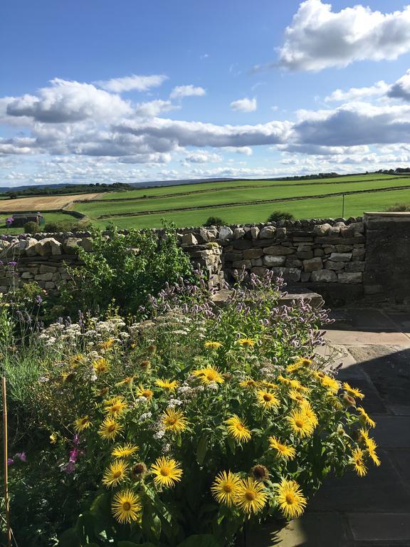Curlew Barn Bed and Breakfast Leyburn Exterior foto